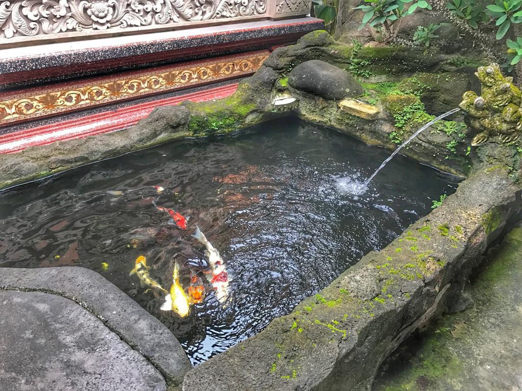 萨塔之家住宿加早餐旅馆 乌布 外观 照片